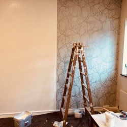 Opsætning af tapet i Sorø